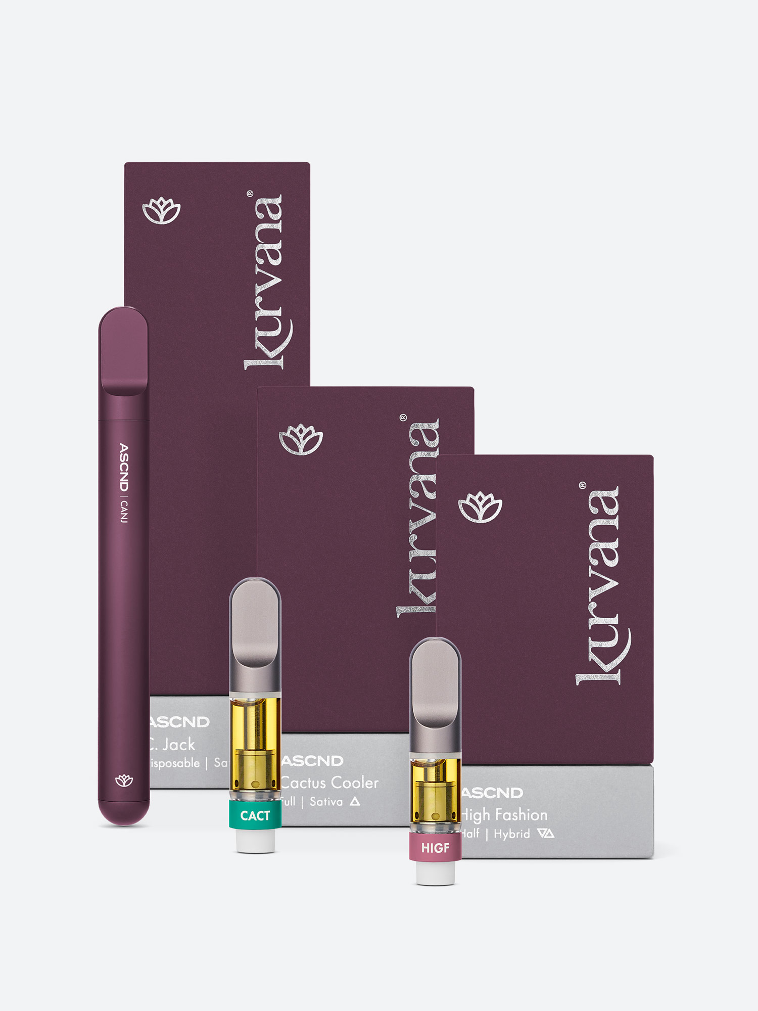 Collection Kurvana The highest standard.