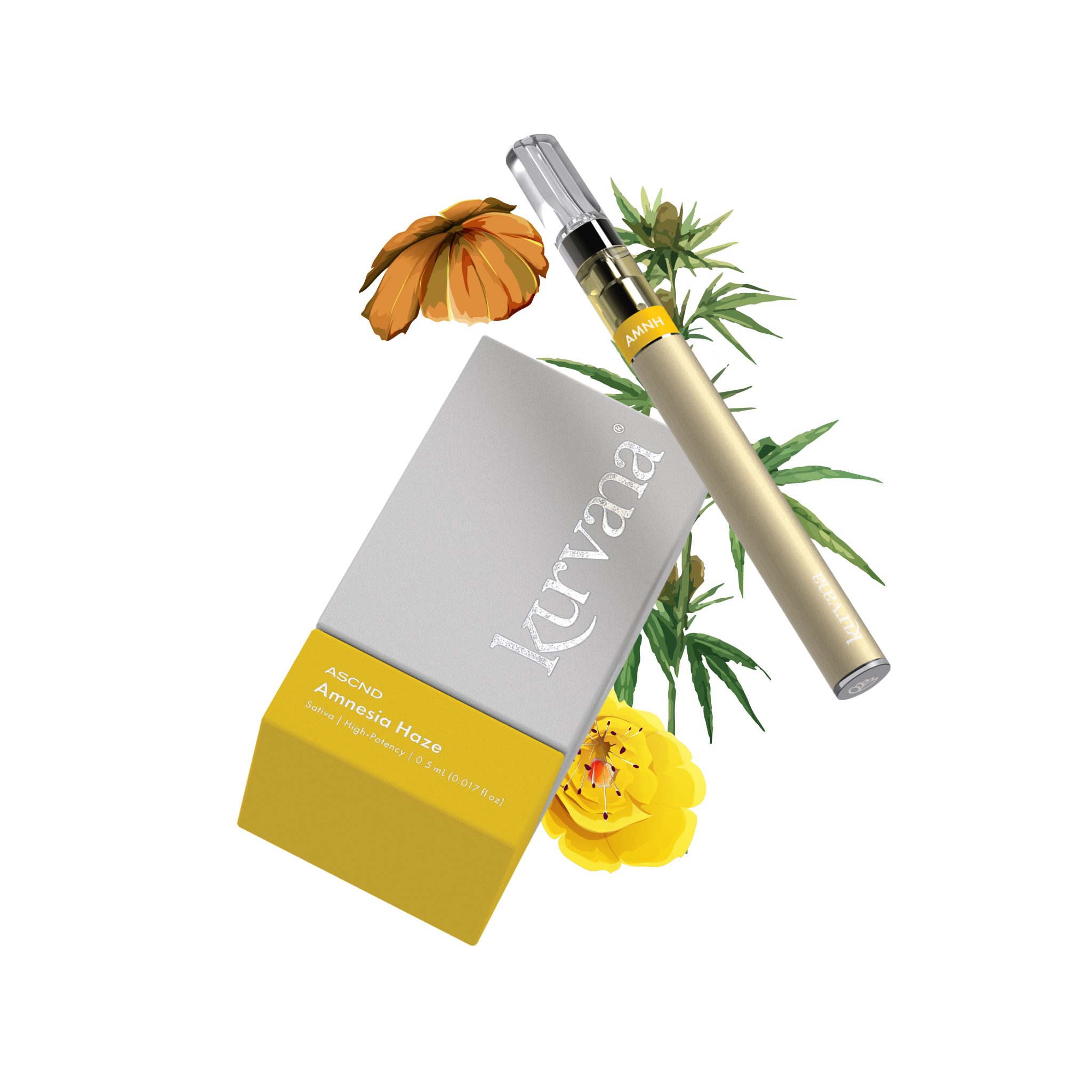 ASCND™ Kurvana Curated for years. Experienced in moments.