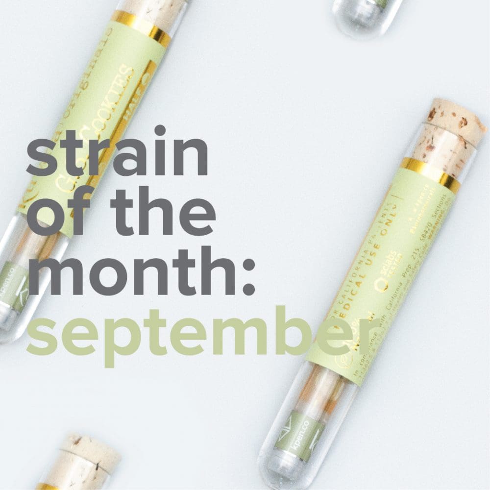 sotm-sept | Kurvana | Curated for years. Experienced in moments. GSC is this month's featured strain.