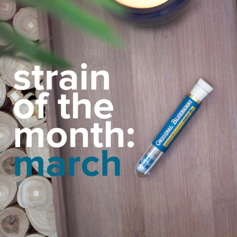 sotm_march | Kurvana | Curated for years. Experienced in moments. Strain of the Month: March