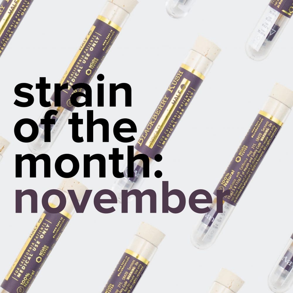 sotm_nov-01 | Kurvana | Curated for years. Experienced in moments. Strain of the Month: November
