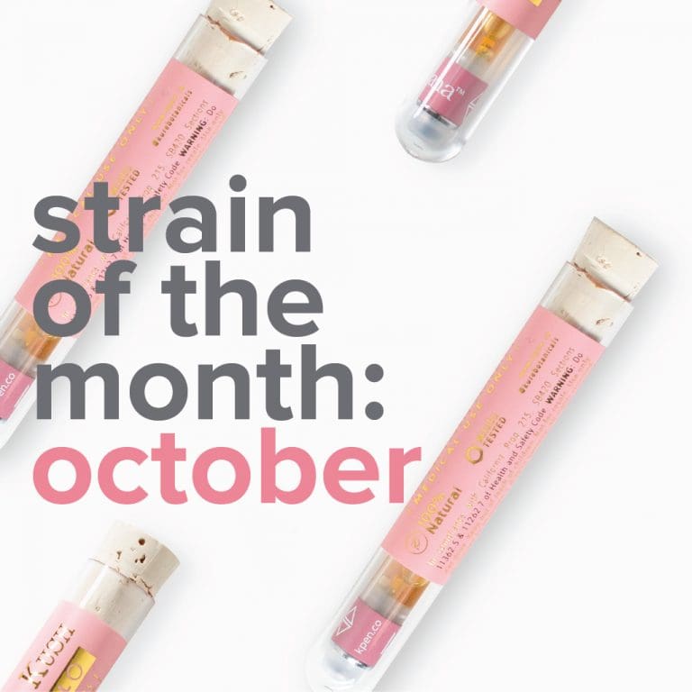 sotm_oct-01 | Kurvana | Curated for years. Experienced in moments. SOTM – Oct