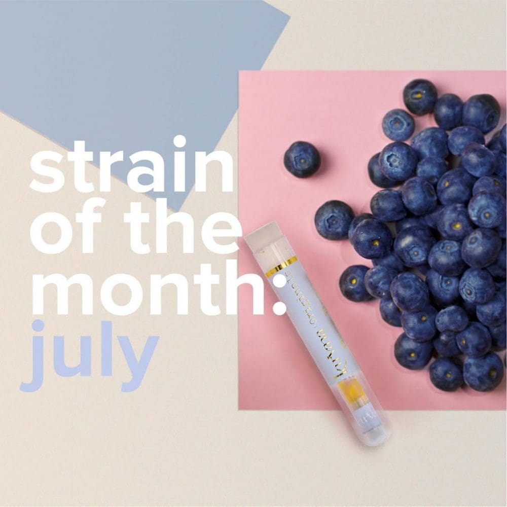 Strain of the Month: July