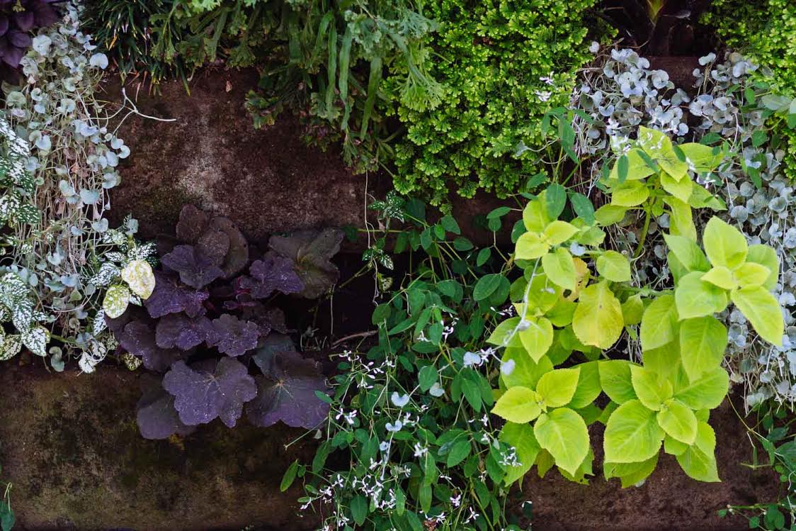 unnamed-6 | Kurvana | Curated for years. Experienced in moments. An Open Letter To Our Loyal Patients