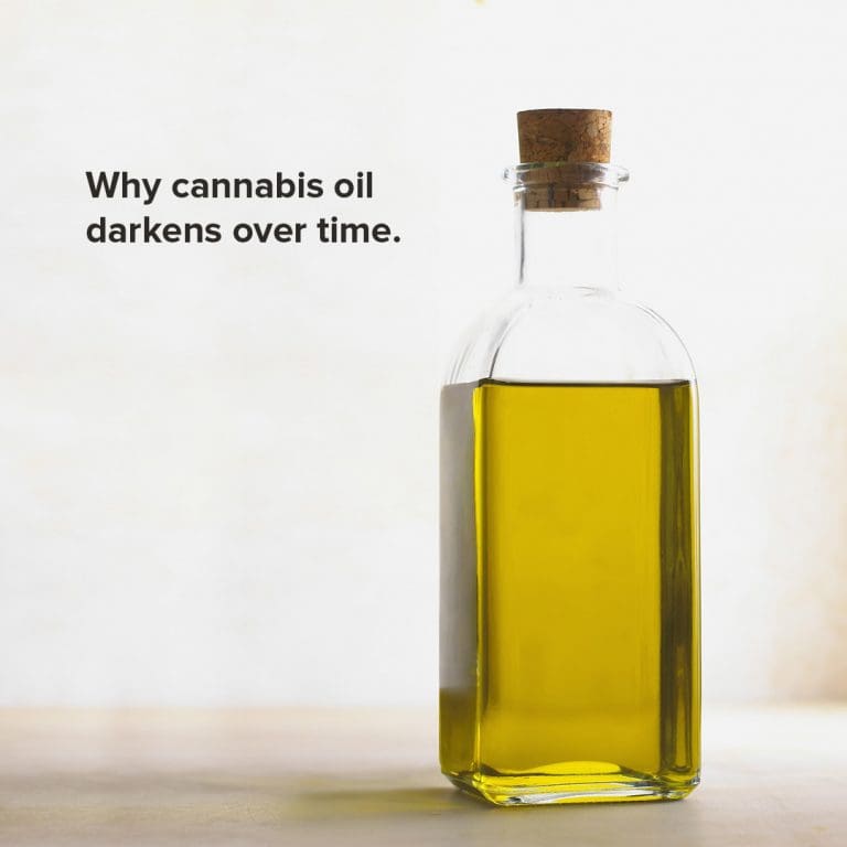 Why Cannabis Oil Darkens Over Time