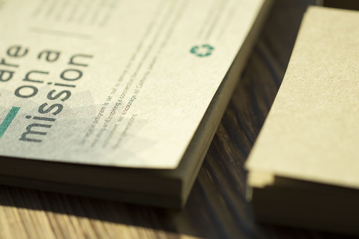 IMG_1359-1 | Kurvana | Curated for years. Experienced in moments.