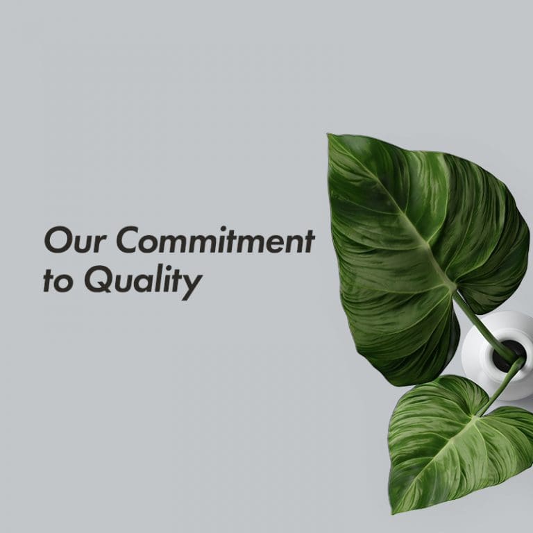 kurvana_quality | Kurvana | Curated for years. Experienced in moments. Our Commitment to Quality