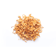 cordyceps | Kurvana | Curated for years. Experienced in moments.