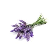 lavender | Kurvana | Curated for years. Experienced in moments.