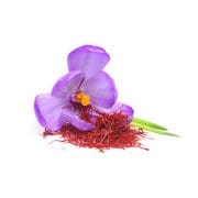 saffron | Kurvana | Curated for years. Experienced in moments.