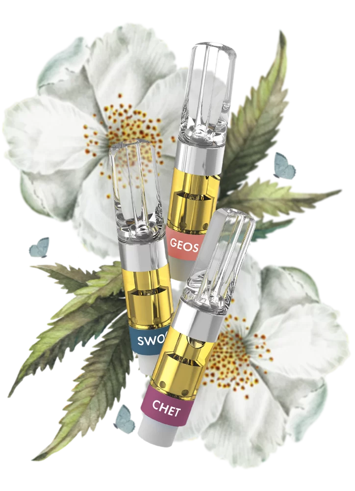 kurvana-ascnd-banner-new-strains-02 | Kurvana | Curated for years. Experienced in moments. potent-carts-brand