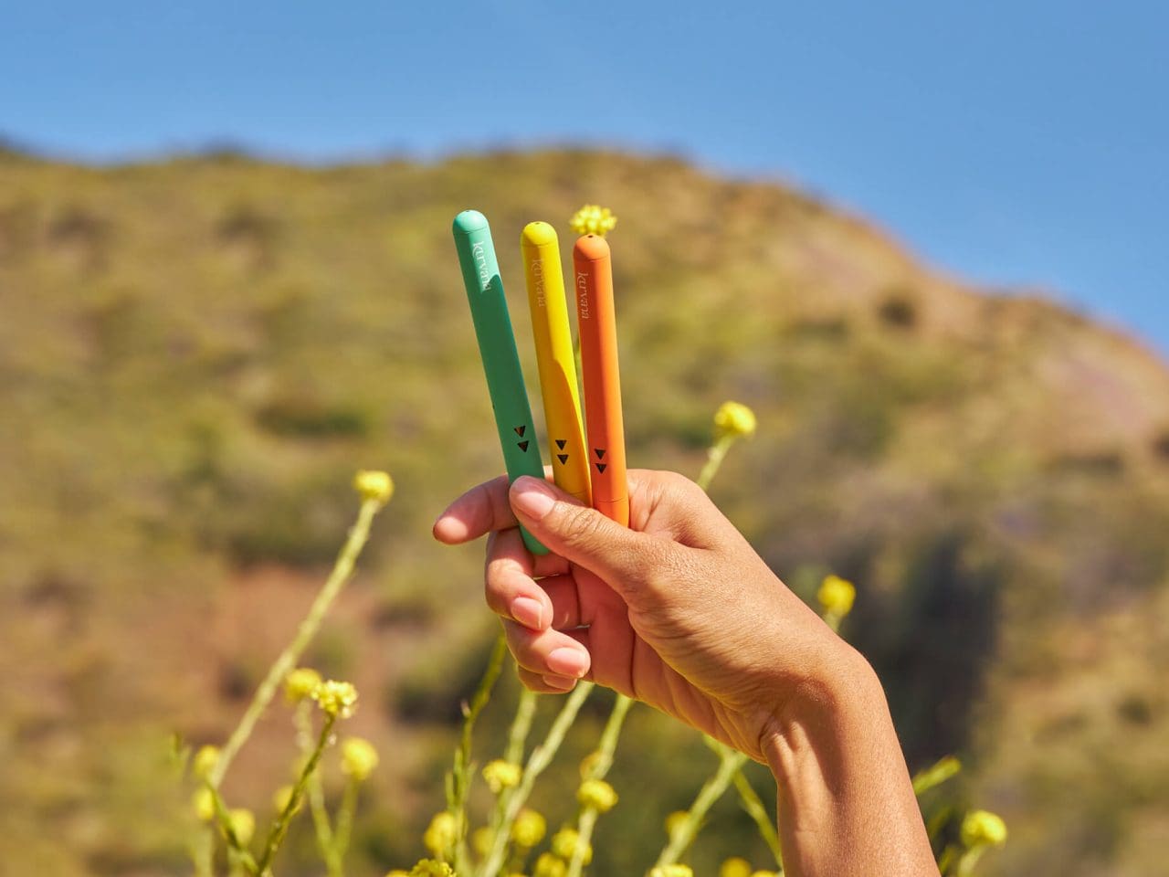 sativa-wax-pen | Kurvana | Curated for years. Experienced in moments.