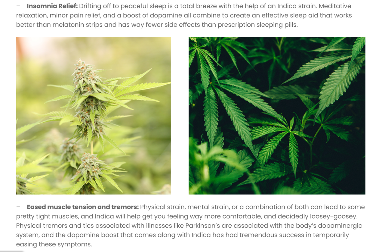 image1 | Kurvana | Curated for years. Experienced in moments. Close-up of an Indica cannabis plant on the left and its leaves on the right, highlighting its benefits for insomnia and muscle tension.