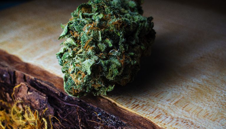 chocolope-strain | Kurvana | Curated for years. Experienced in moments. Close-up of cannabis bud on wood surface, highlighting its texture and color.