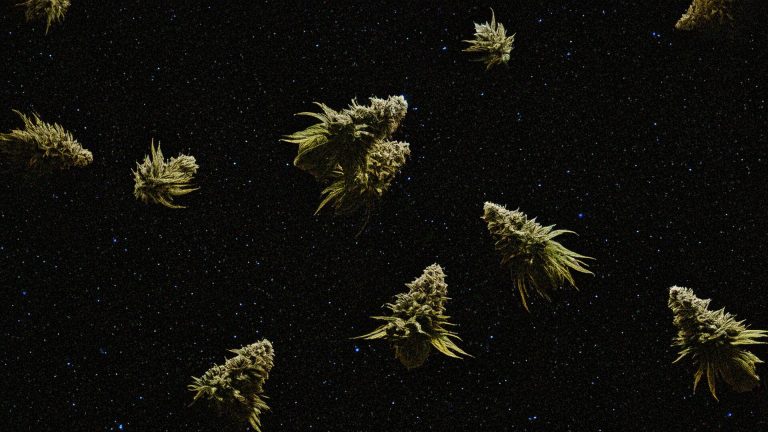 alien-kush-image | Kurvana | Curated for years. Experienced in moments. Floating cannabis buds against a starry night sky, resembling asteroids in space.