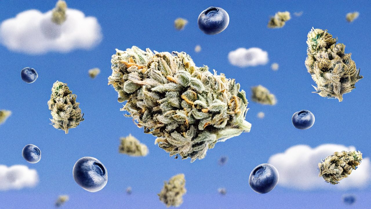 Floating cannabis buds and blueberries in a surreal sky background with fluffy clouds.